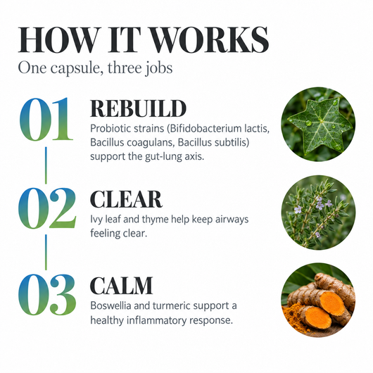 Respiratory & Gut Probiotics